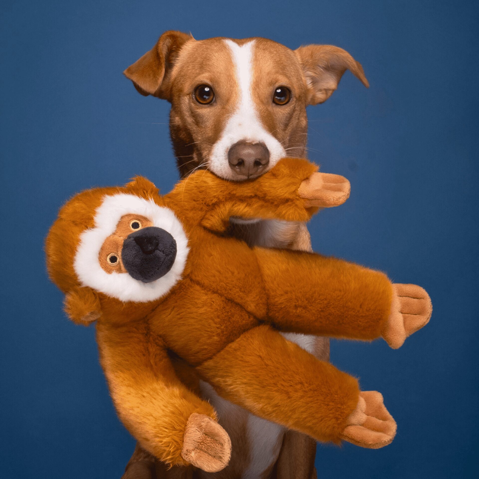 Fluff & Tuff Toy Marcel Monkey - Image 3