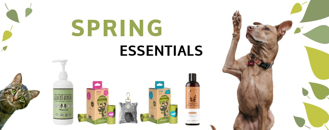 spring essentials 2024