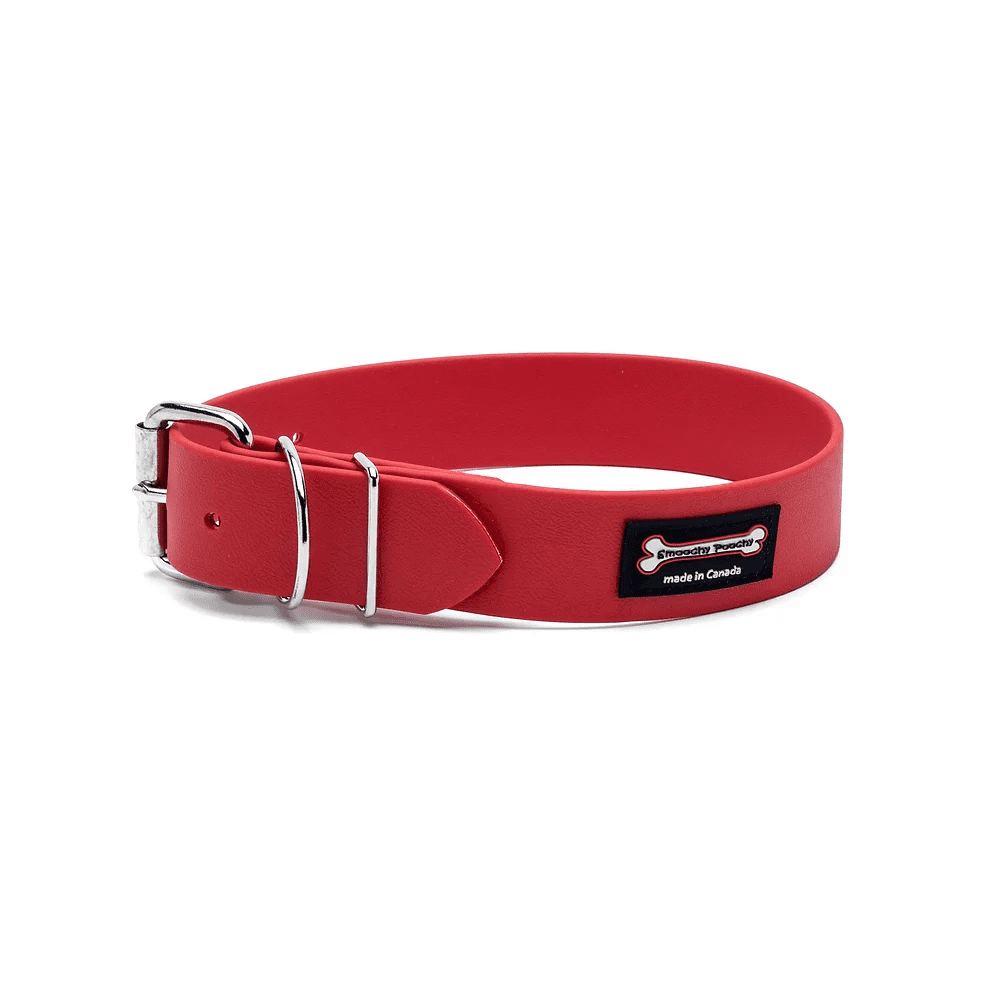 Smoochy Poochy Polyvinyl Buckle Collar 1.5"