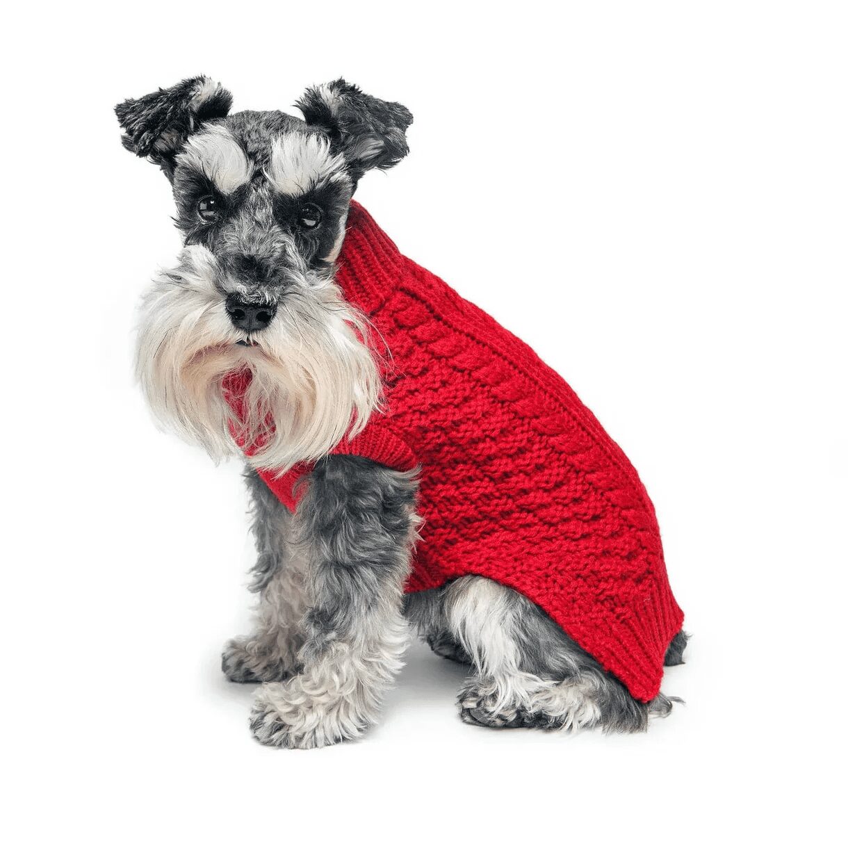 Fabdog Chunky Turtleneck Sweater Red - Image 2