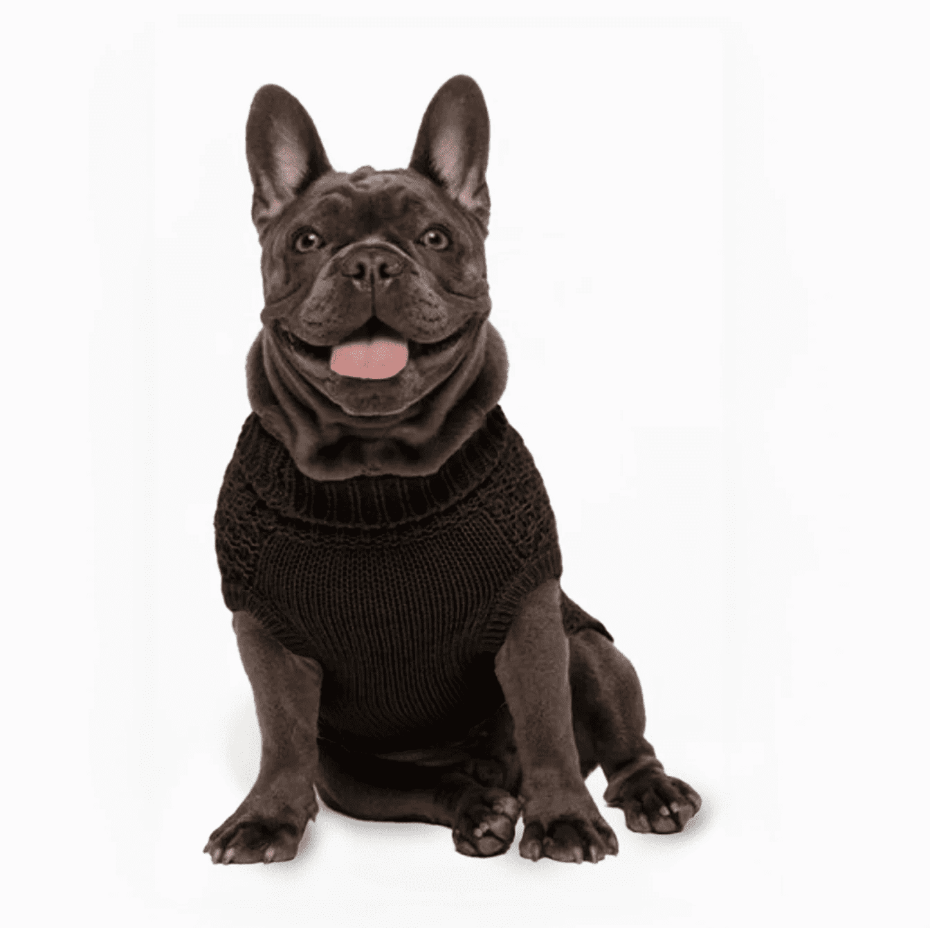Fabdog Super Chunky Turtleneck Sweater Black - Image 2