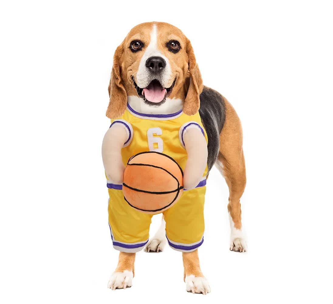 Show & Tail Costume The Ball Hog