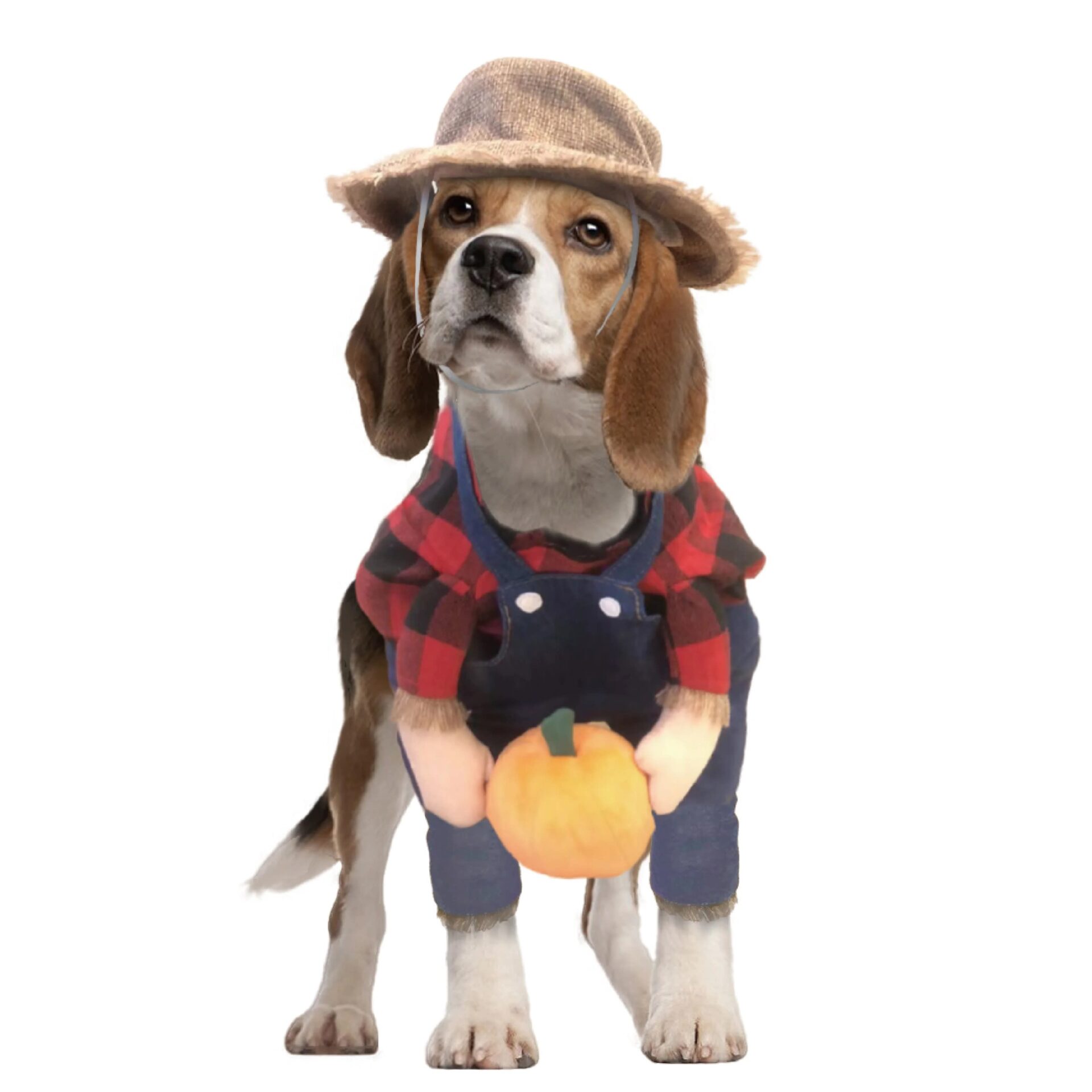 Show & Tail Costume The Old McDog