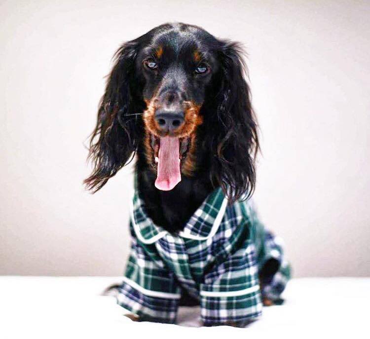 Fabdog Green Plaid Flannel Pajamas - Image 2
