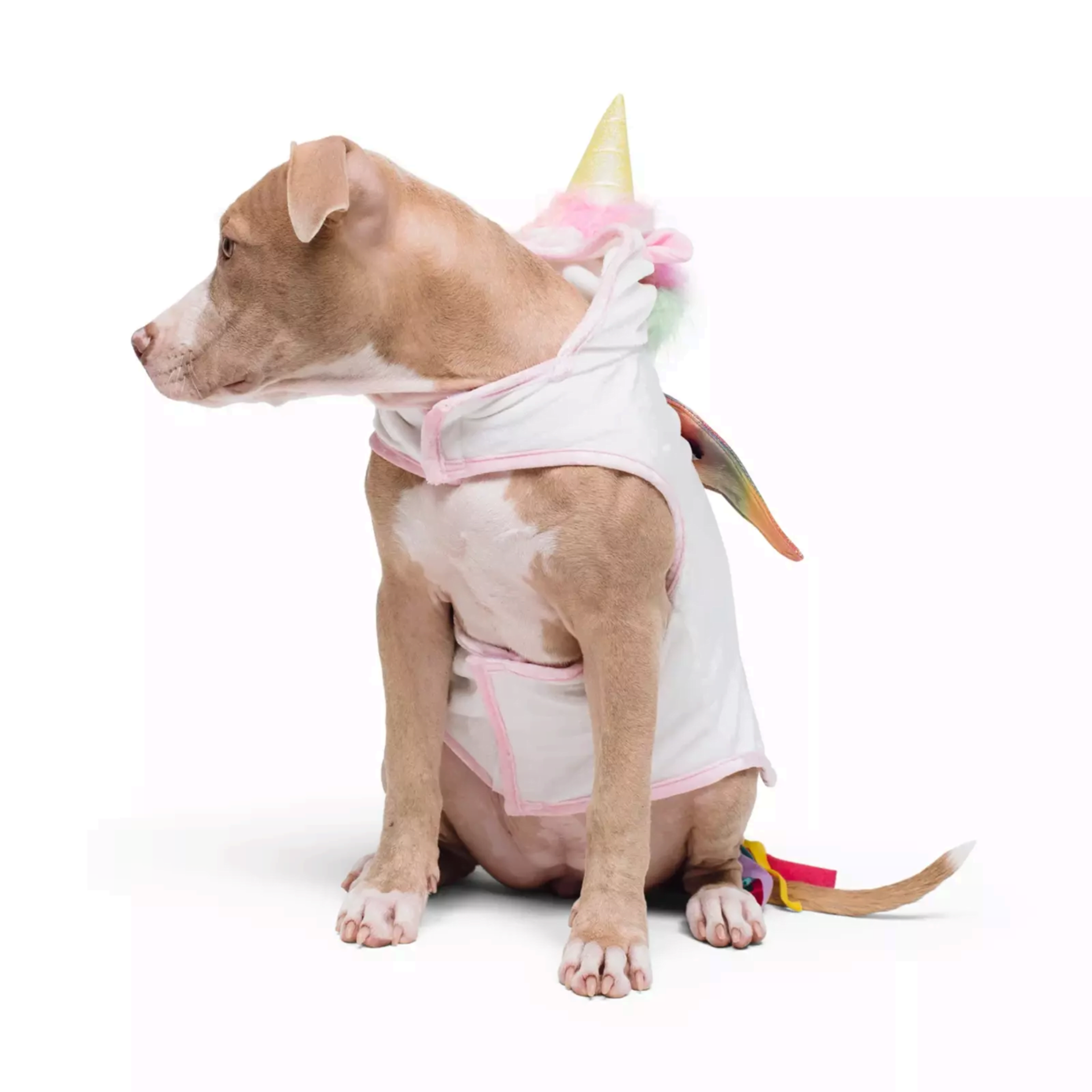Show & Tail Costume Flying Magical Unicorn Dog - Image 2