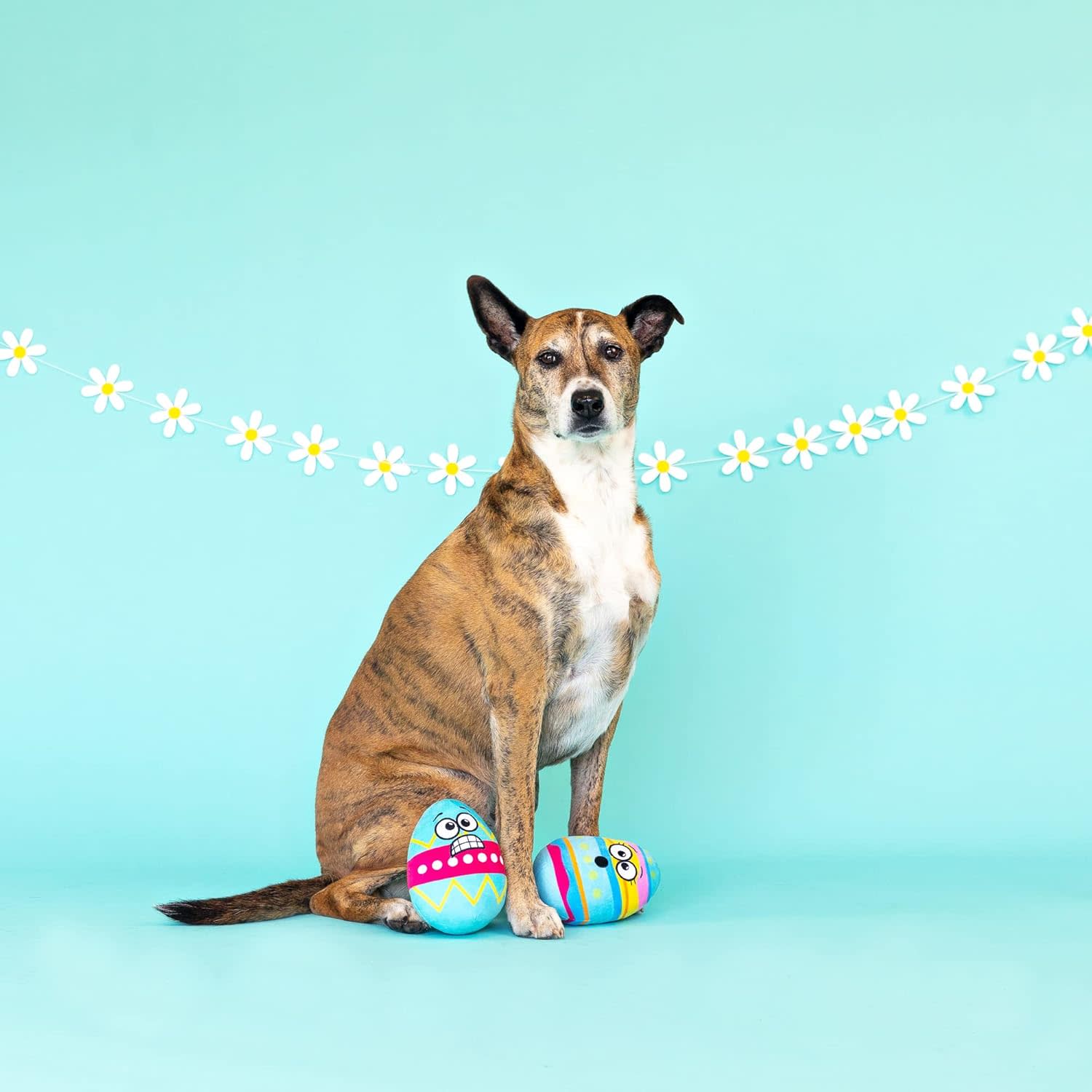 Pet Shop by Fringe Studio Easter So Eggstra - Image 4