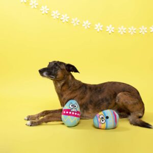 Pet Shop by Fringe Studio Easter Egg So Eggstra Pet Toy