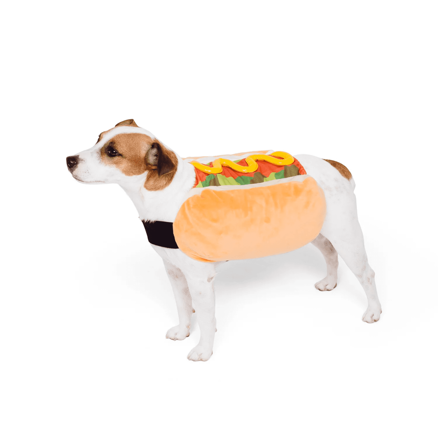 Show & Tail Costume That's One Hot Dog! - Image 2