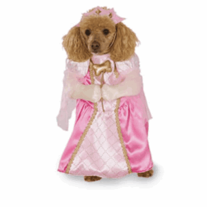Rubie's Costume Princess
