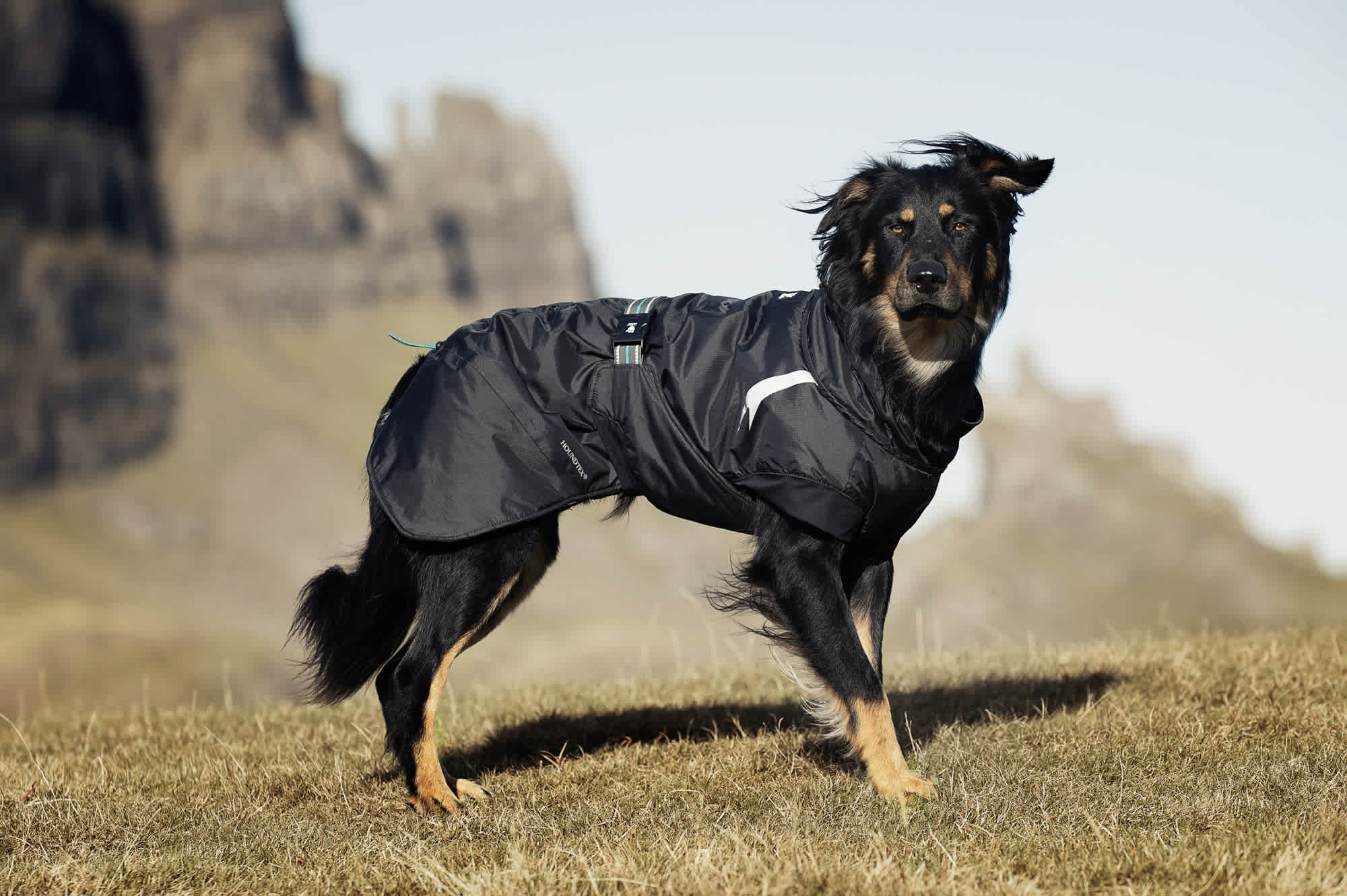 Hurtta Summit Parka Raven - Image 12