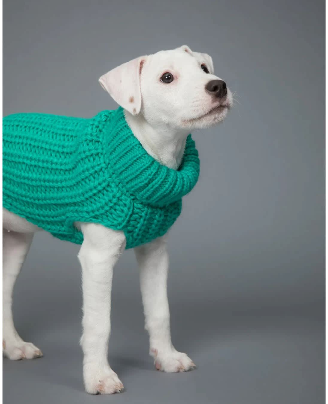 PAIKKA Knit Sweater Green - Image 2