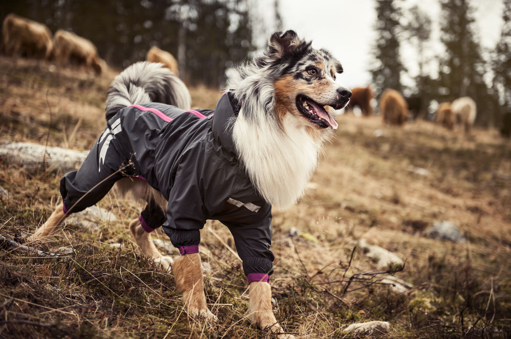 Hurtta Slush Combat Suit - Image 5