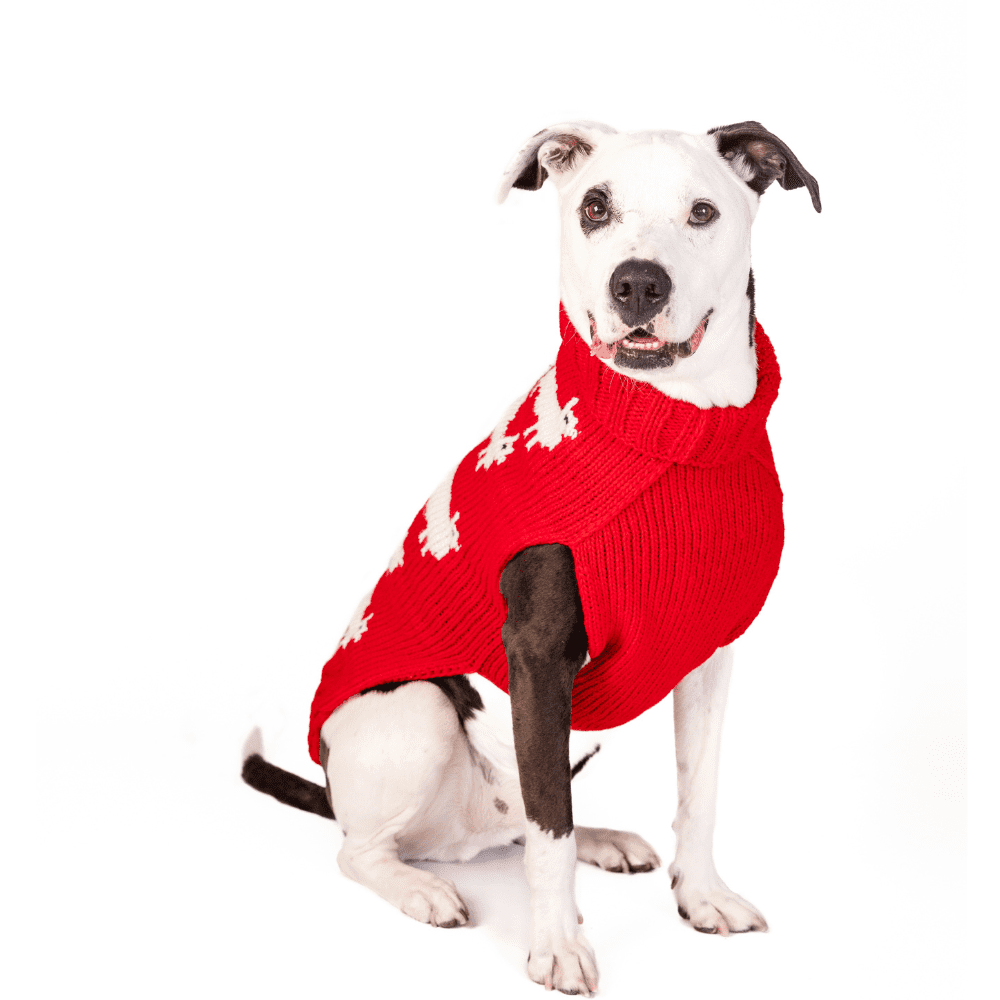 Chilly Dog Black Sheep Sweater