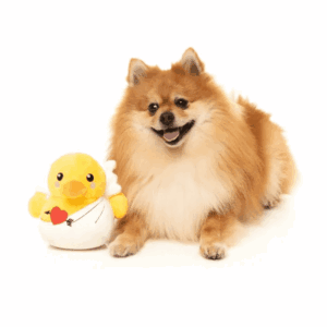 FuzzYard Dog Toy Cupid Duck