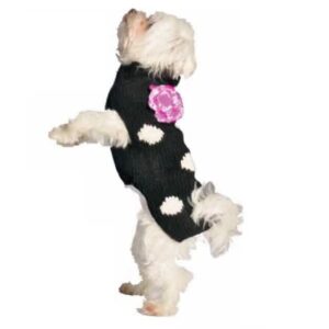 Chilly Dog Black Flower Polka Dot Sweater