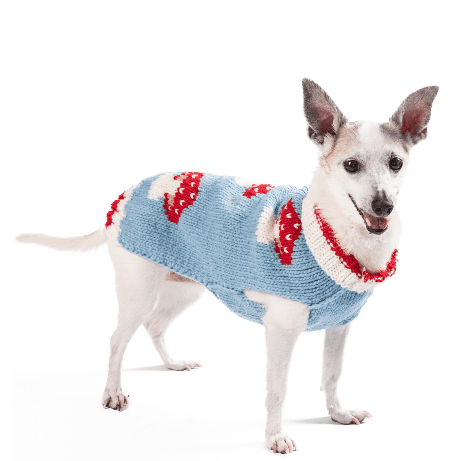 Chilly Dog Mushroom Sweater - Image 2