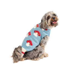 Chilly Dog Mushroom Sweater