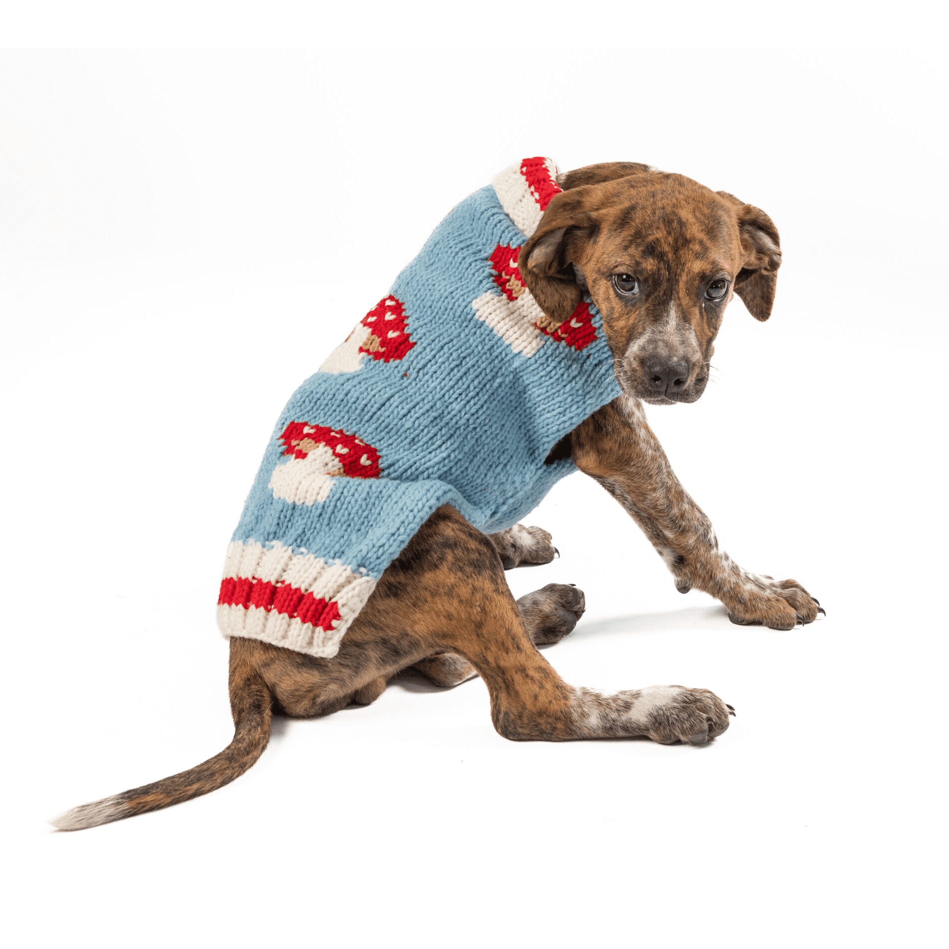 Chilly Dog Mushroom Sweater - Image 4