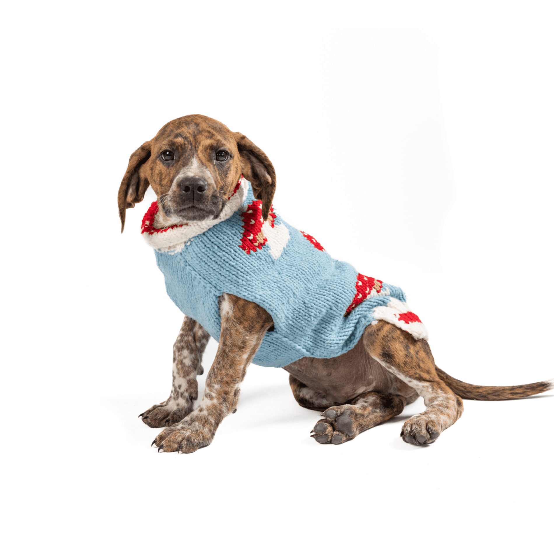 Chilly Dog Mushroom Sweater - Image 3