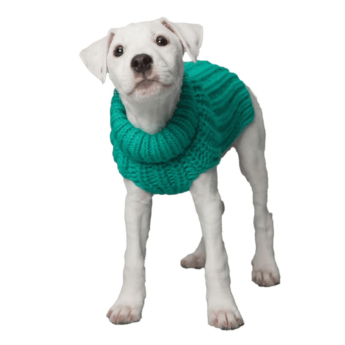 PAIKKA Knit Sweater Green - Image 3