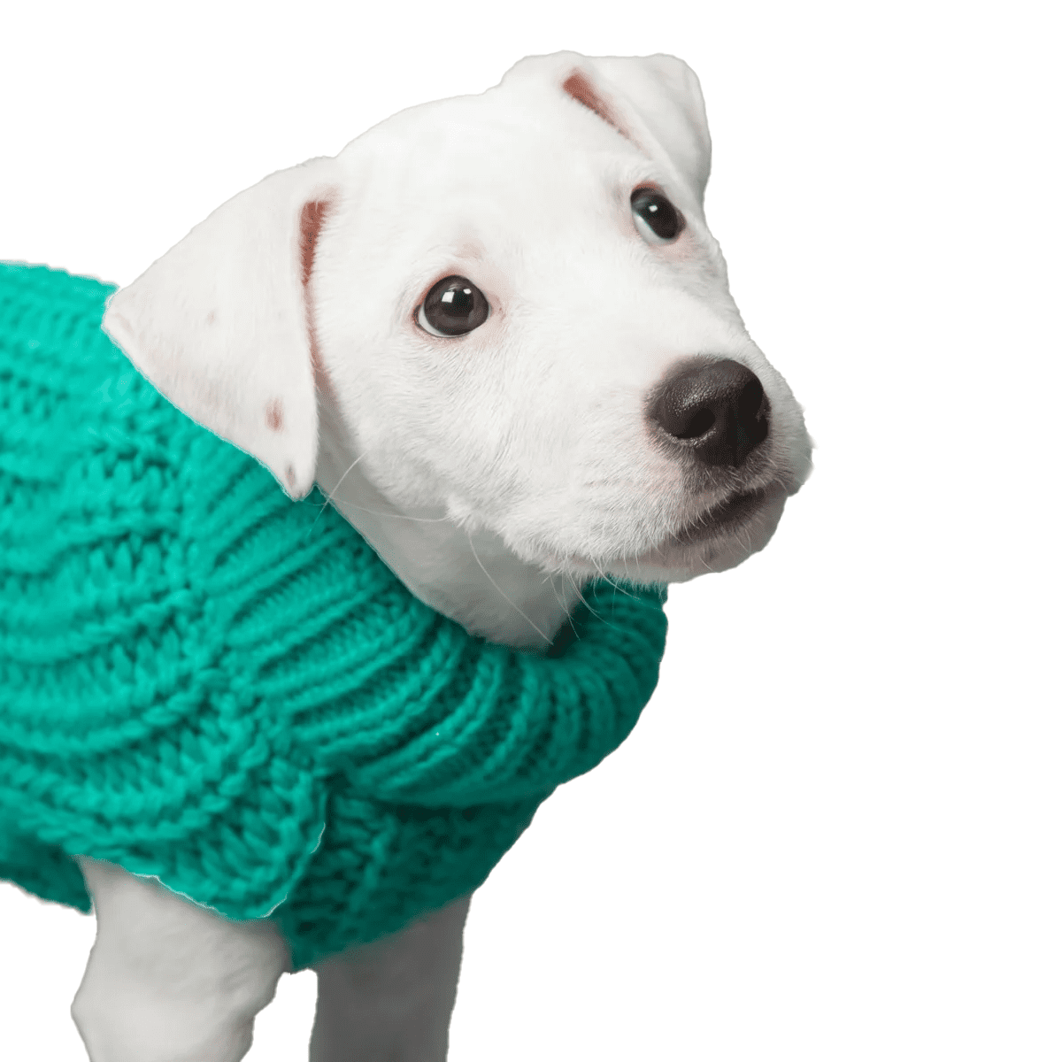PAIKKA Knit Sweater Green - Image 5
