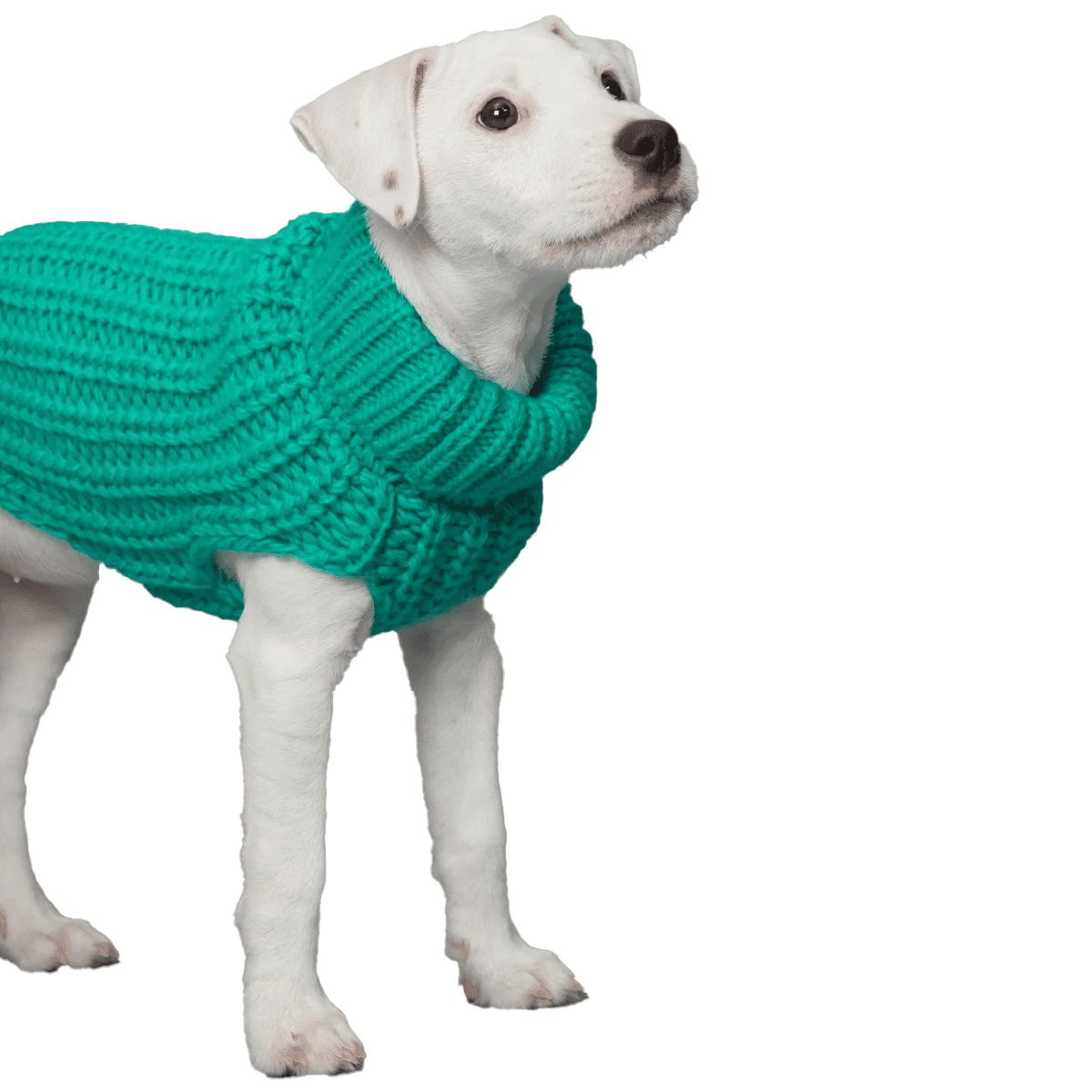 PAIKKA Knit Sweater Green