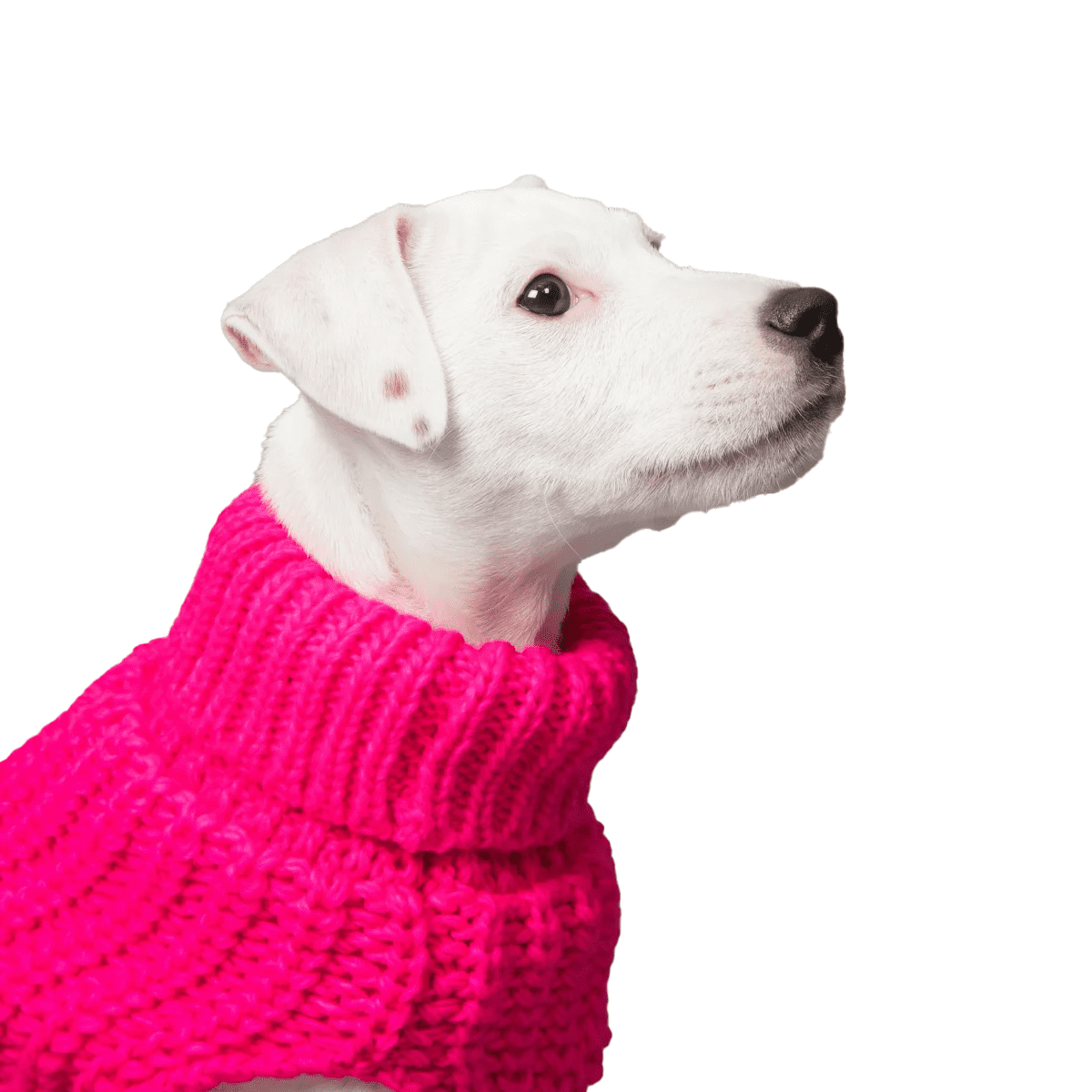 PAIKKA Knit Sweater Hot Pink - Image 4