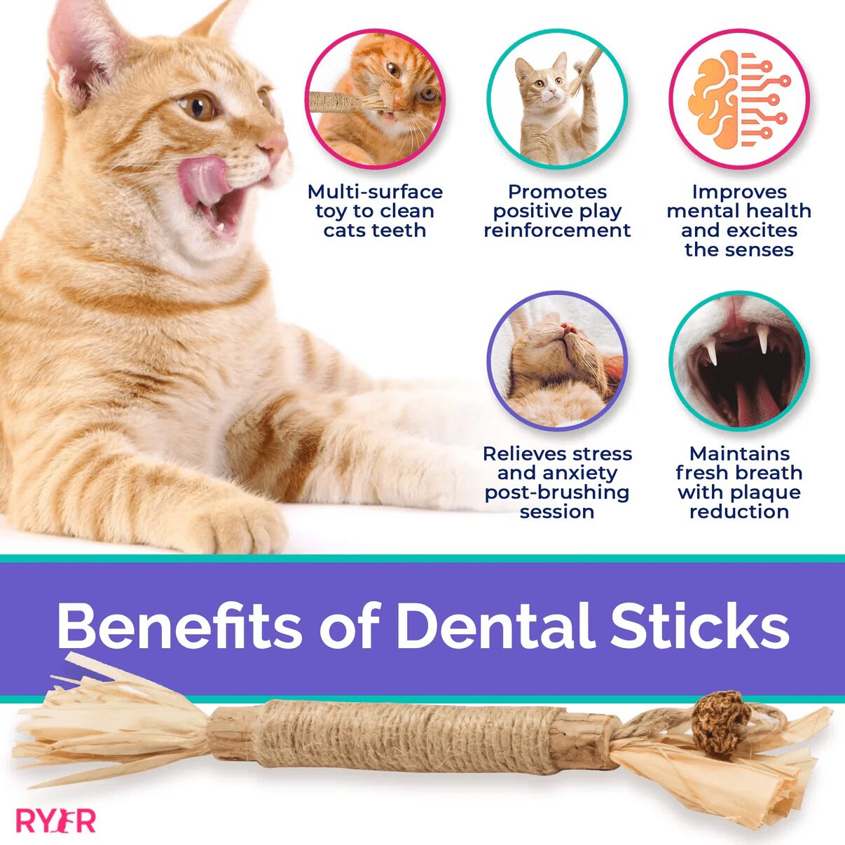 RYER CAT Silvervine Dental Sticks - Image 3