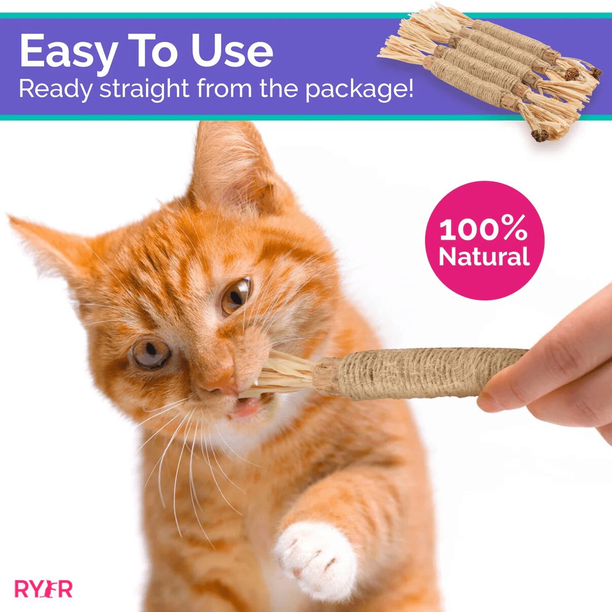 RYER CAT Silvervine Dental Sticks - Image 5