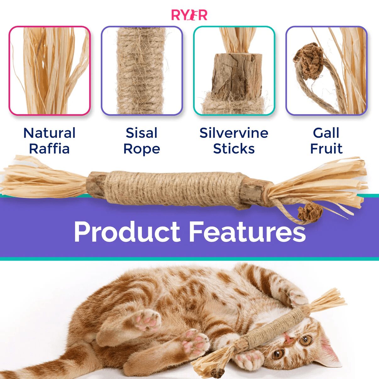 RYER CAT Silvervine Dental Sticks - Image 2