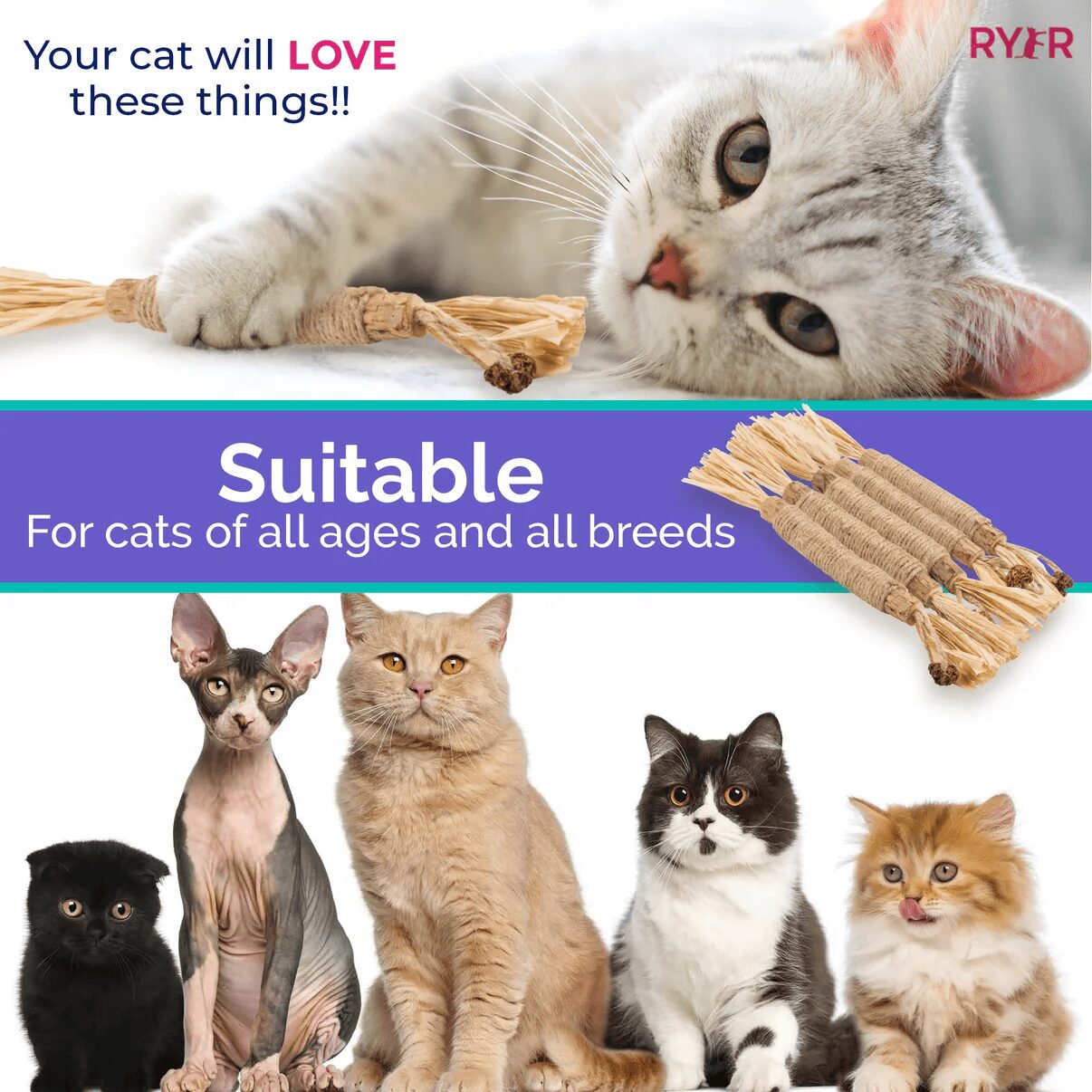 RYER CAT Silvervine Dental Sticks - Image 6