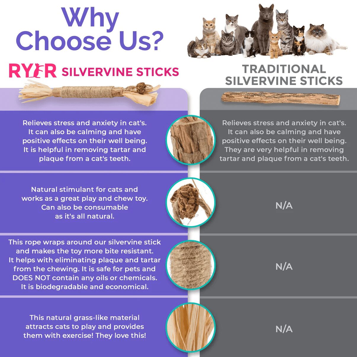 RYER CAT Silvervine Dental Sticks - Image 4