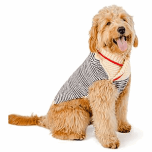 Chilly Dog Spencer Sweater
