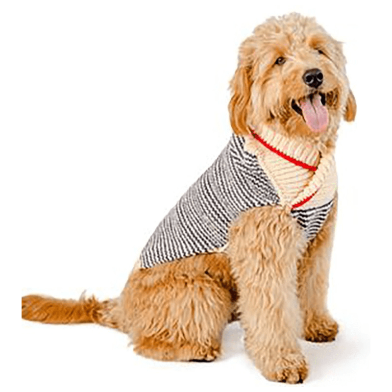 Chilly Dog Spencer Sweater - Image 2