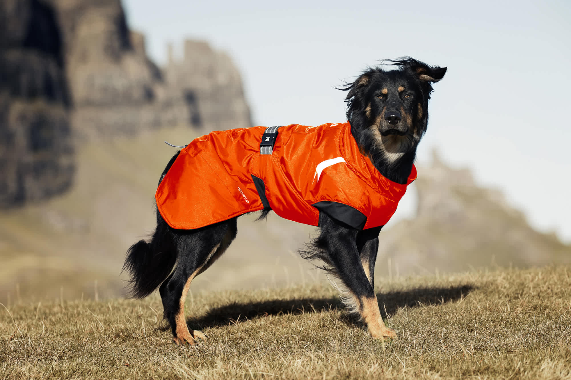 Hurtta Summit Parka Raven - Image 5
