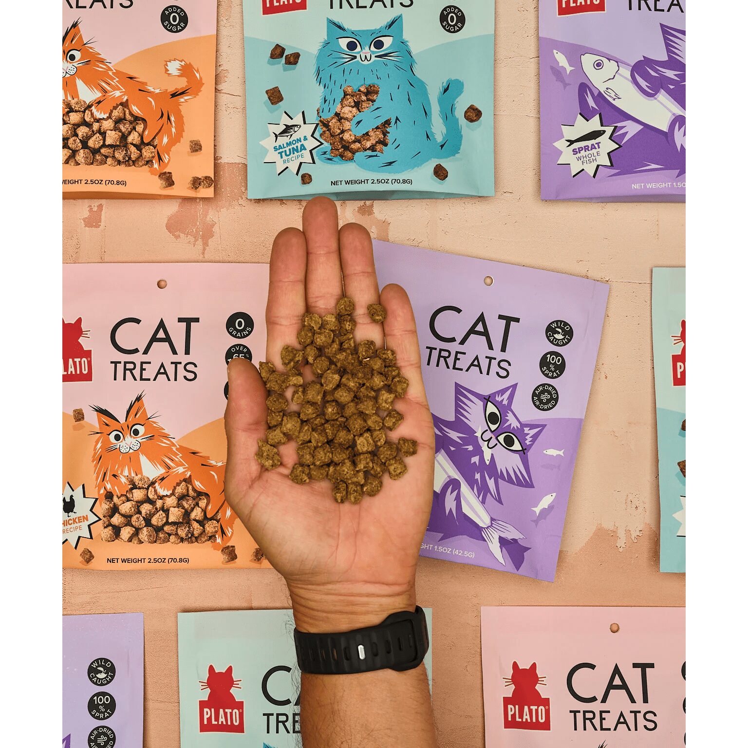 Plato Pet CAT Chicken & Catnip Treats 2.5 oz - Image 2