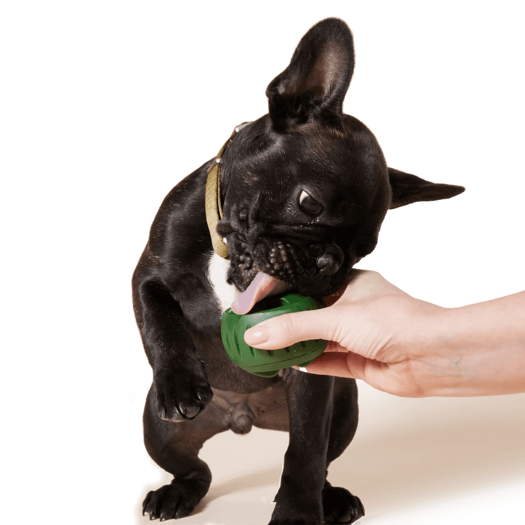Woof Pupsicle Treat Tray - Image 6