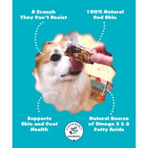 Plato Pet Treats Hundur's Crunch Fingers Single