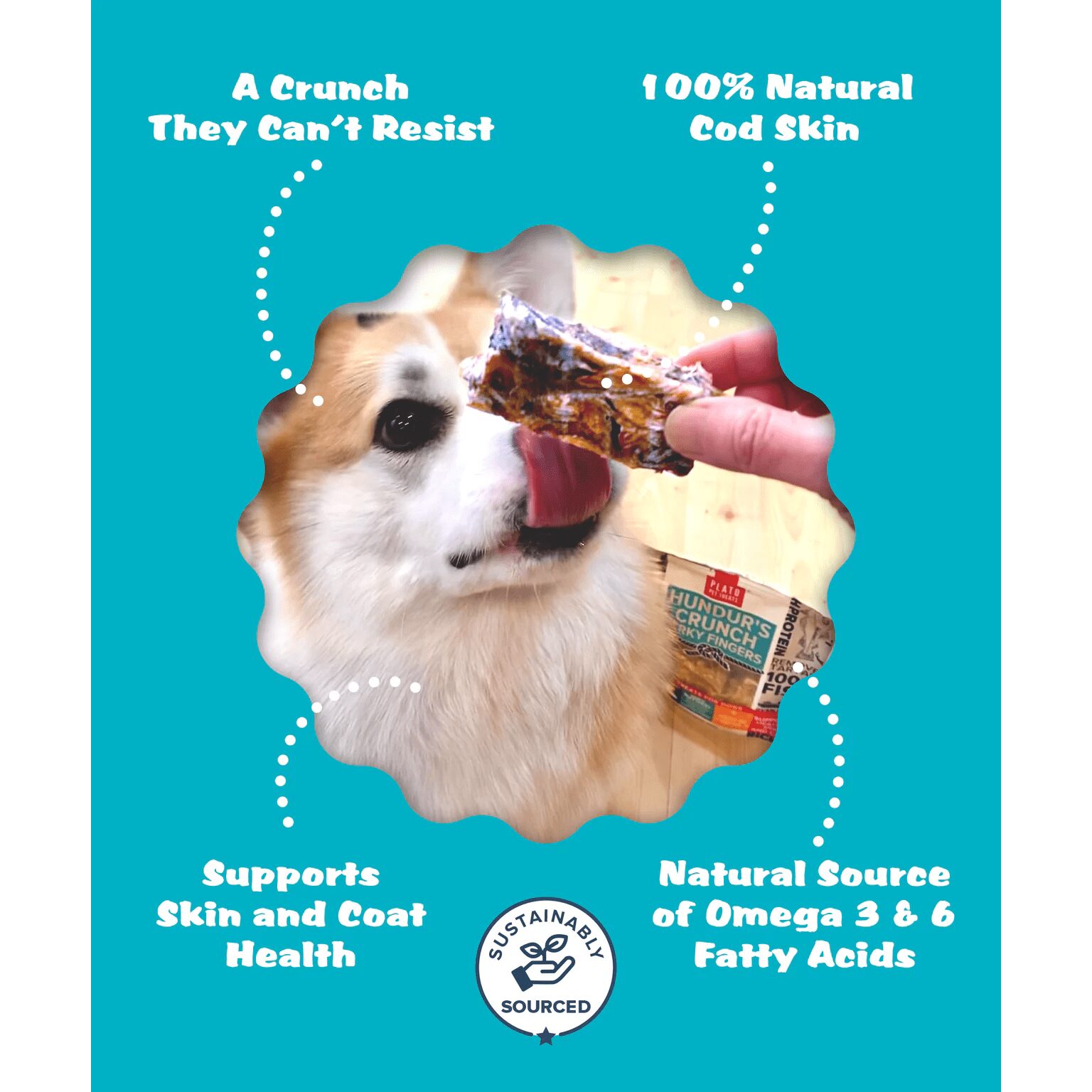 Plato Pet Treats Hundur's Crunch Fingers Single