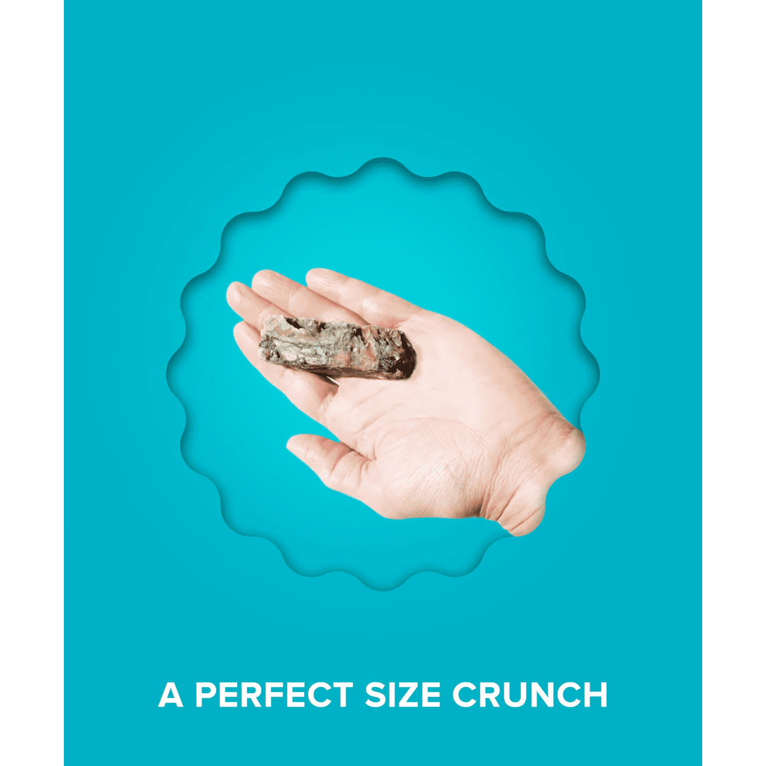 Plato Pet Treats Hundur's Crunch Fingers Single - Image 5
