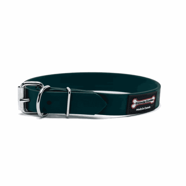 Smoochy Poochy Polyvinyl Buckle Collar 1"