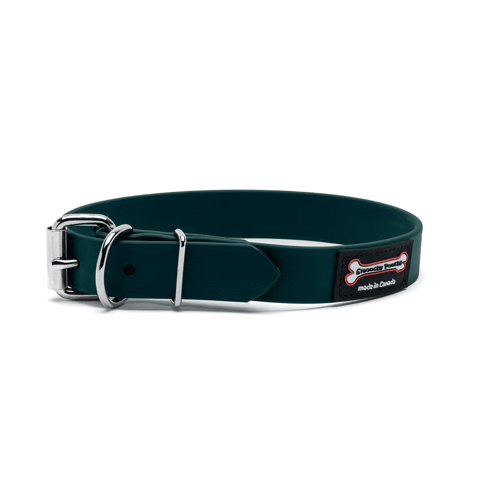 Smoochy Poochy Polyvinyl Buckle Collar 1"