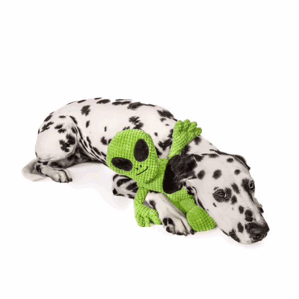 Fabdog Plush Floppy Alien - Image 3