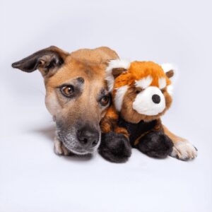 Fluff & Tuff Toy Archie Red Panda