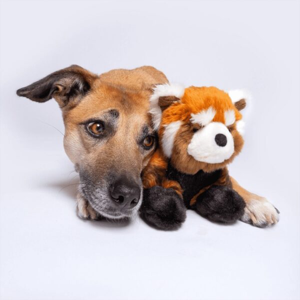 Fluff & Tuff Toy Archie Red Panda - Image 4