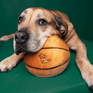 Fluff & Tuff Toy Basketball Large