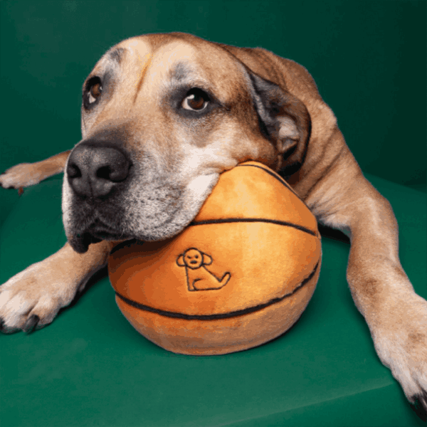 Fluff & Tuff Toy Basketball Large - Image 3