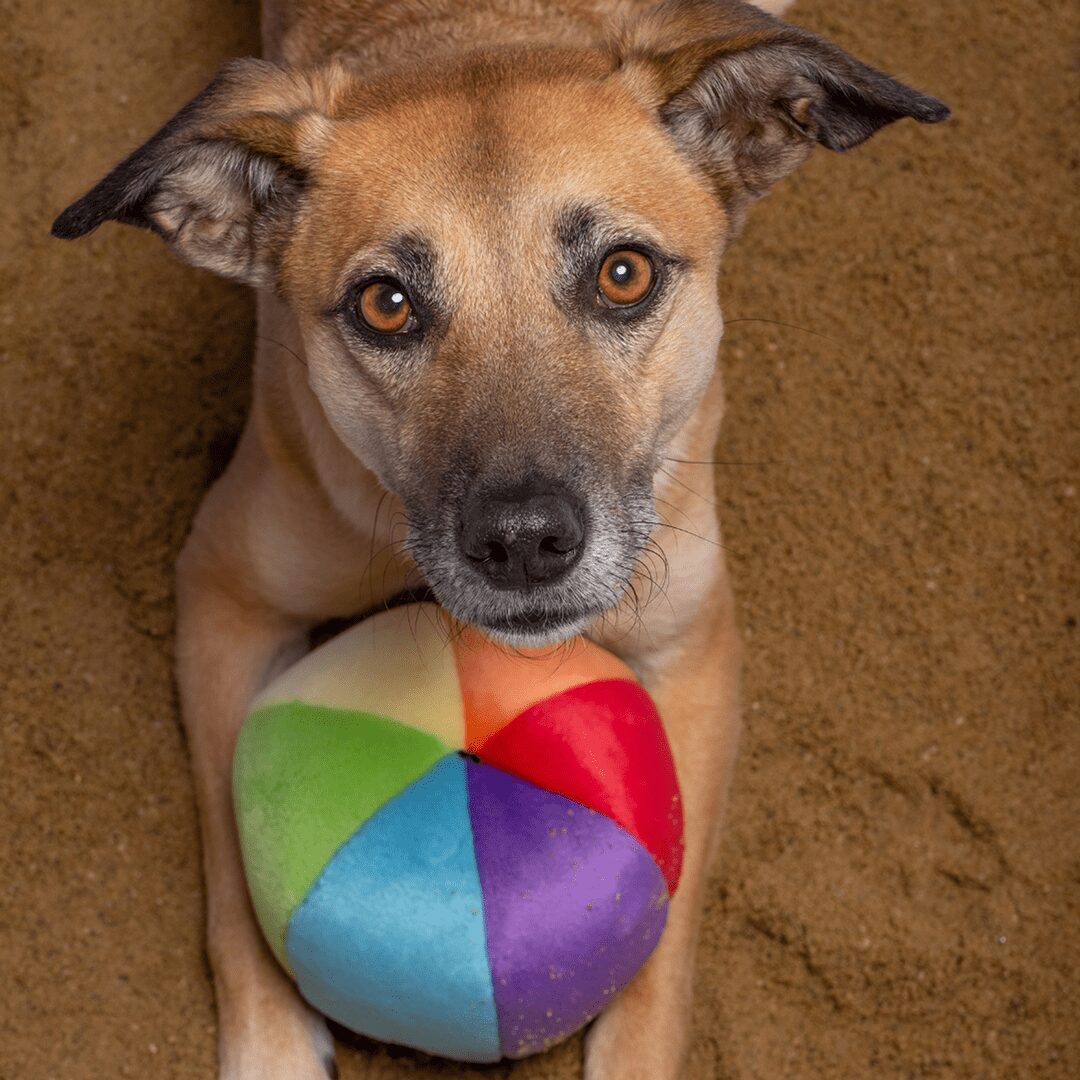 Fluff & Tuff Toy Mini Beach Ball - Image 4