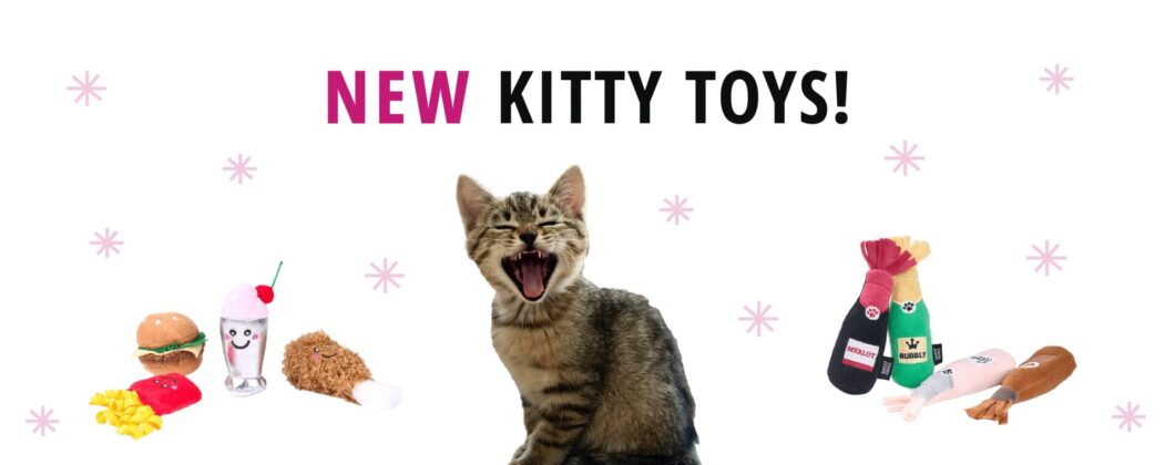 cat toy 2025 banner