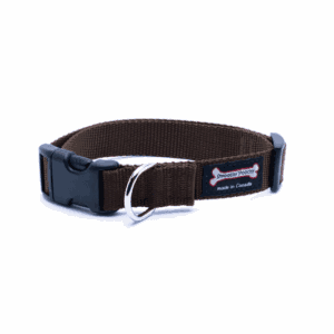 Smoochy Poochy Nylon Clip Collar Brown